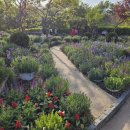 중부대학교 원격대학원 이미지