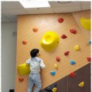 캐러가까 이미지