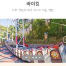 바이킹푸드 이미지