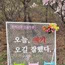 금산 비단고을 산꽃축제 이미지