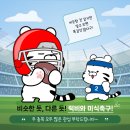 백호스포츠