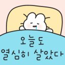 민성민물장어 이미지