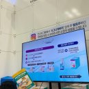 카니데이즈 이미지