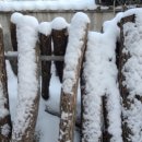 위메디팜 이미지