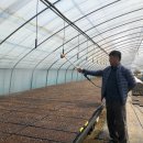 슬기네 농장 이미지