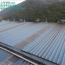 내서읍1126 이미지