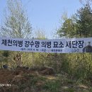 증 조부묘소 새단장 이미지
