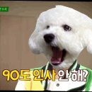 야