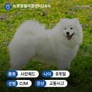 정강동물병원 이미지