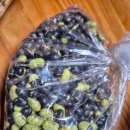 숙경농장 이미지