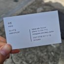 수민미용실 - 통영시 | [선릉] 데이유헤어 수민 부원장 | 대치동 미용실에서 인생 단발 만난 후기