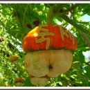 청암마을 이미지