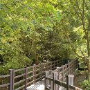 창평지 친환경 생태공원 화장실 | 대구 군위 걷기 좋은 길, 창평지 친환경생태공원 사유원 근처 산책로