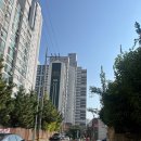 울산 남구 미용실 추천 야음동 미용실 펌 잘하는 ‘살롱드네이비’