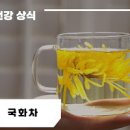 국화차 효능 국화차 카페인 임산부 국화차 만들기 이미지