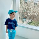 더그레이