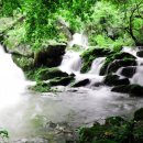 백운동 계곡 이미지