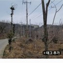 어청도보건지소 이미지