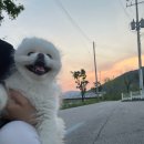 용인상공회의소 이미지