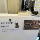 고양이잡화상점 이미지