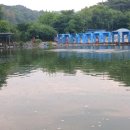 유동낚시터 이미지