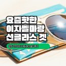 탑캣츠팜 | 이자벨마랑 선글라스 겟! 힙한 캣츠아이 내돈내산 솔직후기