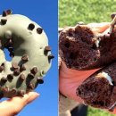 민트인사이트 이미지