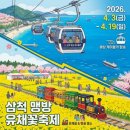 초대1리 | [삼척] 『2026 삼척 맹방 유채꽃 축제』 방문 후기 (주차/포토존/행사/개화상태)💛