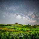 주정차단속-136 이미지