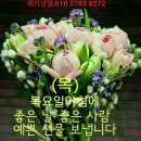 세기냉열 이미지