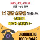 아이비미디어