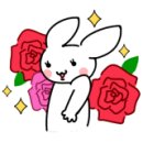 트렌독 이미지