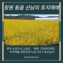 광개토대왕공인중개사사무소 이미지