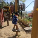 황령산레포츠공원(생태공원) 이미지