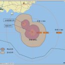 제주연안 연산호 군락지 이미지