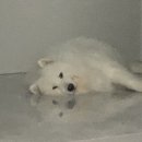 리에또과자점