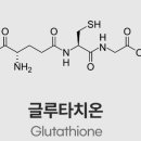 진싸몰