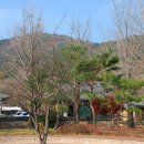 표충비 이미지