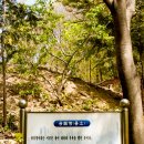세동푸드 이미지