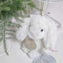 노블 소프트 이미지