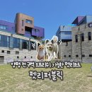 내새끼 펫 | 양평 펫리퍼블릭 애견펜션 전구역 오프리쉬 가능한 펫리조트 내돈내산 후기