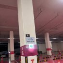 이삐네 | [당케일상] 당케업당케업