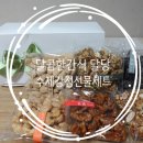 답례품추천_달콤한간식 달당 수제강정 선물세트