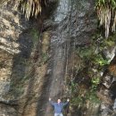 [방학여행] 저는 핫 워터 비치 탑 텐을 다녀왔답니다~Hot Water Beach, Whitianga, Cathedral Cove 이미지