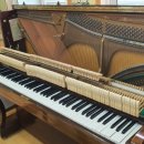 당림초등학교 이미지