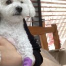 다원 동물병원 이미지