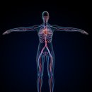 율하바른의원 이미지