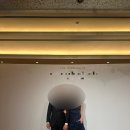 사파이어호텔 | [웨딩홀] 서울 롯데호텔 사파이어볼룸 하객 후기 (ATM, 식사, 주차)