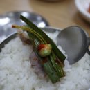 반구동돼지국밥전문점 이미지