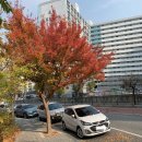 초원아파트 입구 이미지